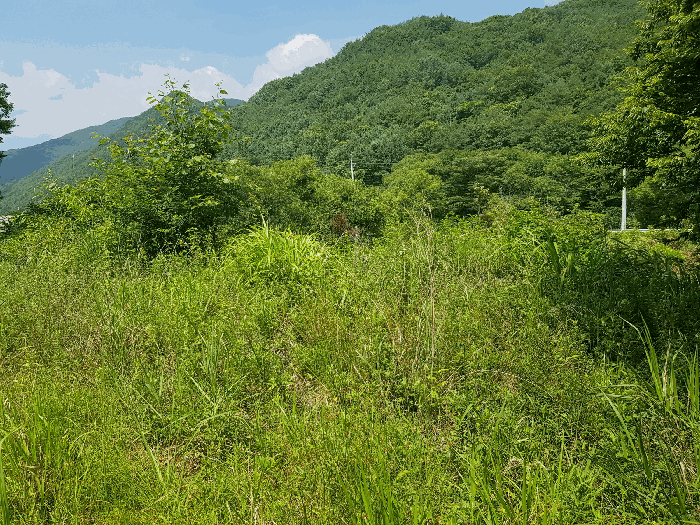 물건 사진 35