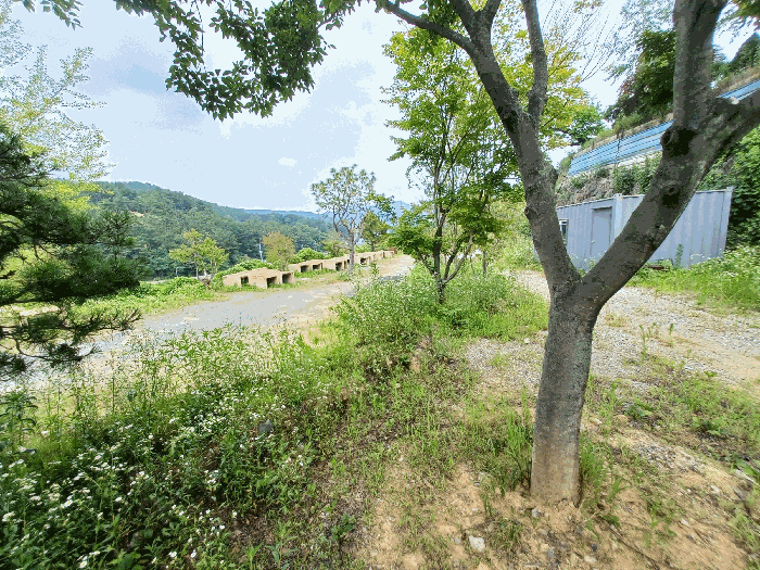물건 사진 30