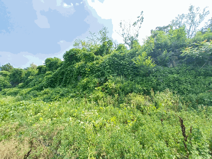 물건 사진 38