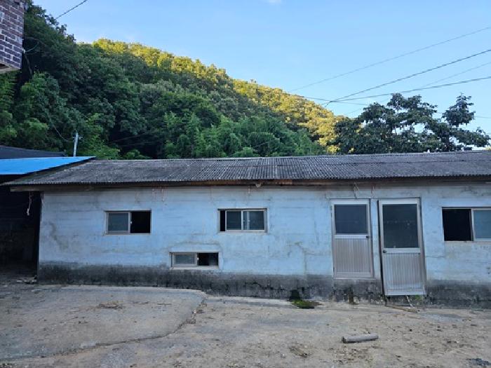 물건 사진 2