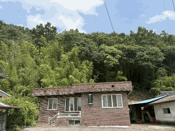 물건 사진 12