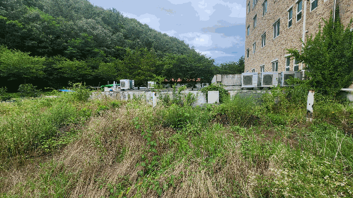 물건 사진 19