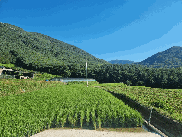물건 사진 28