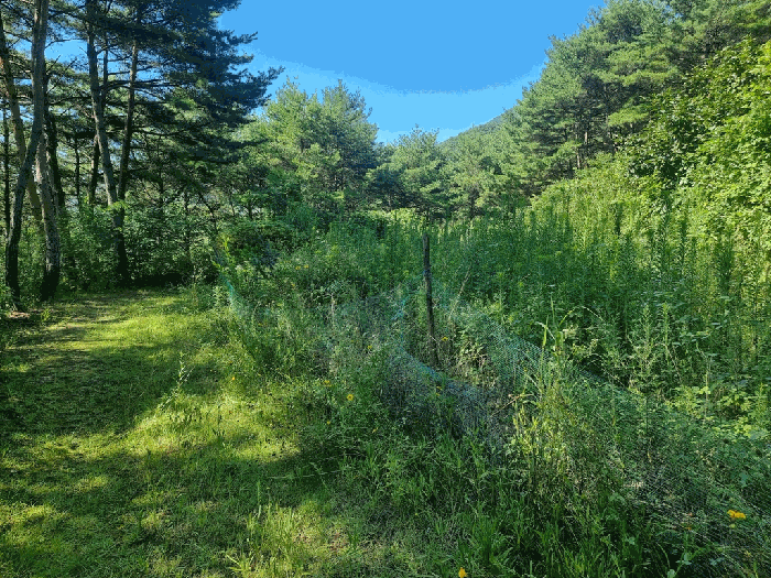 물건 사진 35