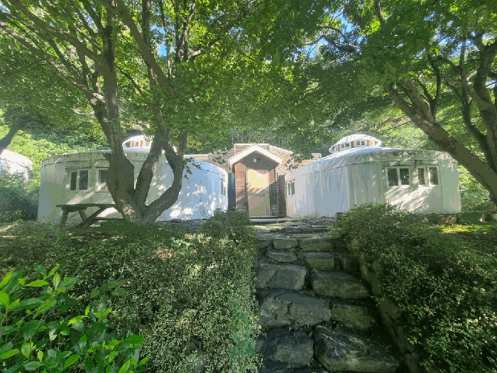 물건 사진 62