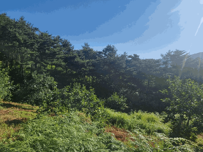 물건 사진 63