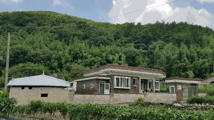 물건 사진 15
