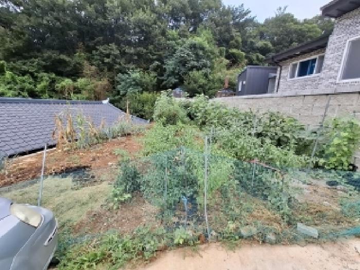 물건 사진 5