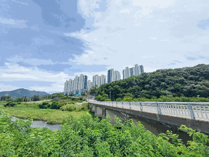 물건 사진 9