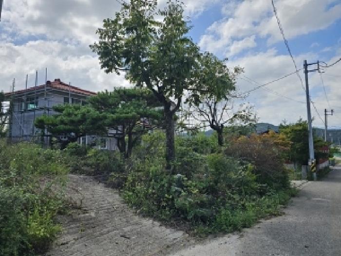 물건 사진 1