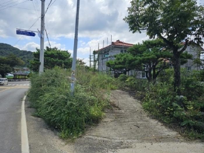물건 사진 11