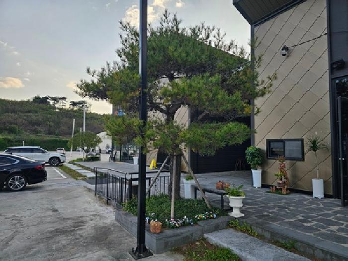 물건 사진 23