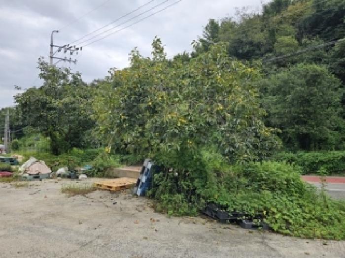 물건 사진 5