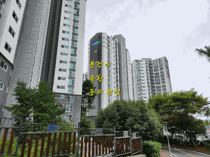 물건 사진 6