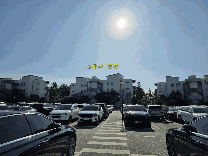 물건 사진 11