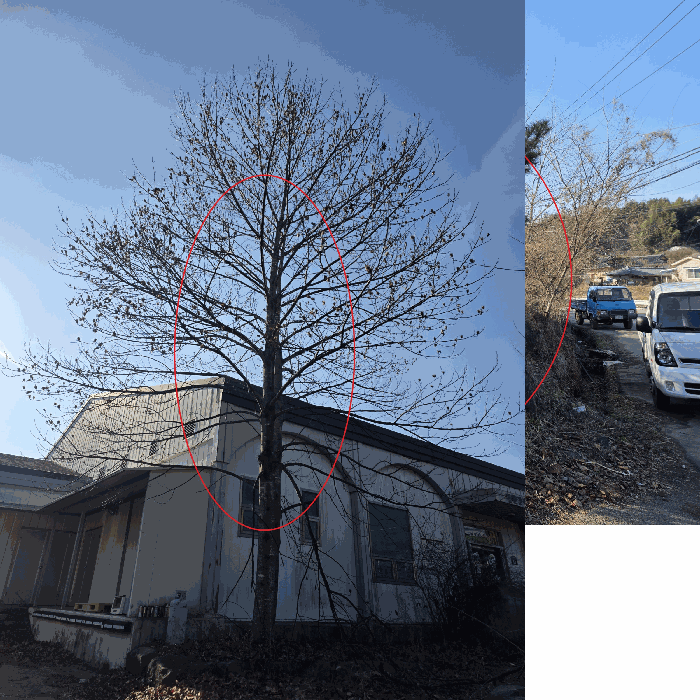 물건 사진 56