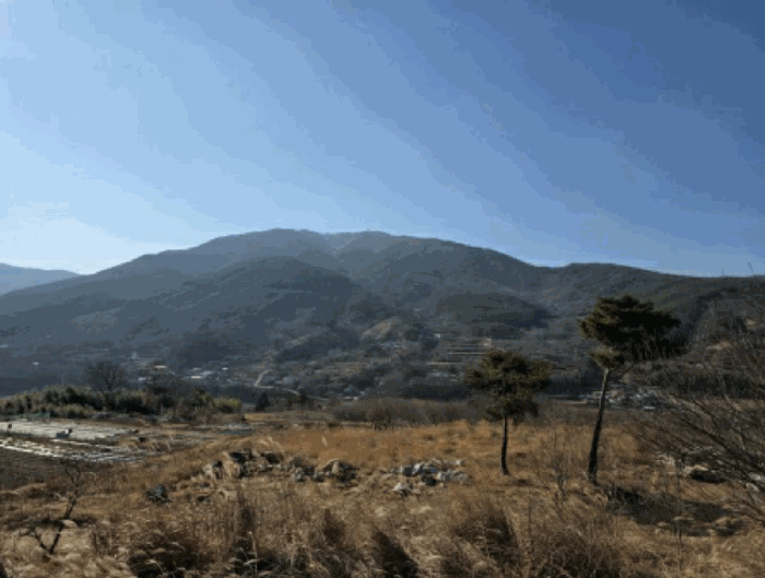 물건 사진 94