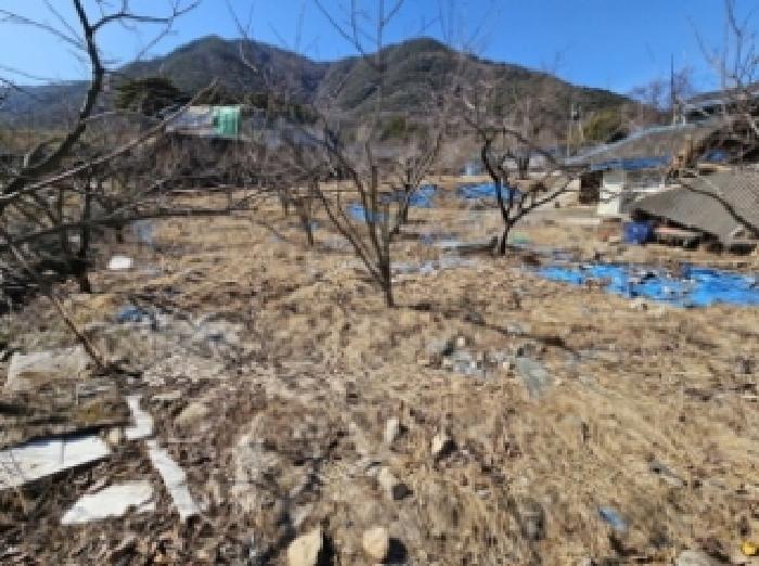 물건 사진 1
