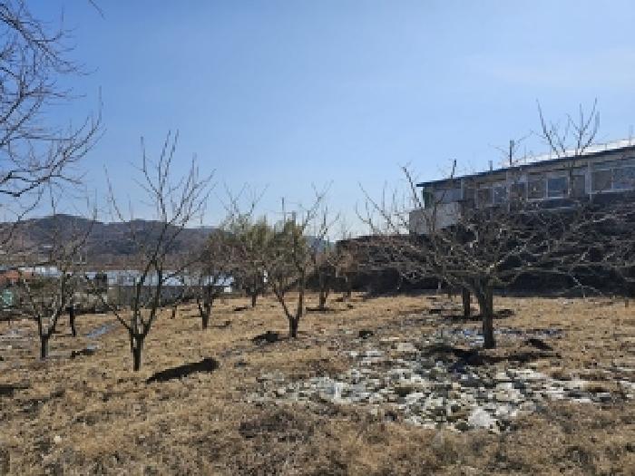 물건 사진 6