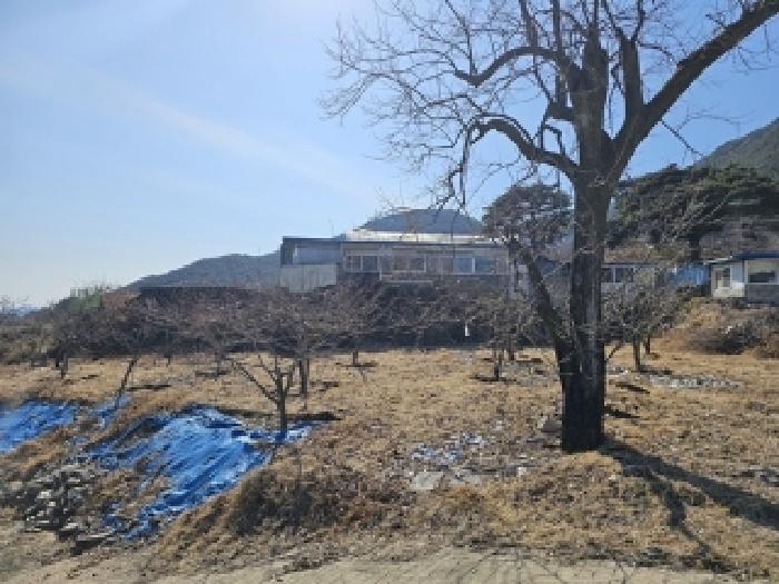 물건 사진 7