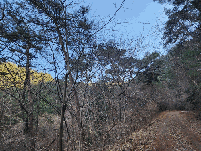 물건 사진 26