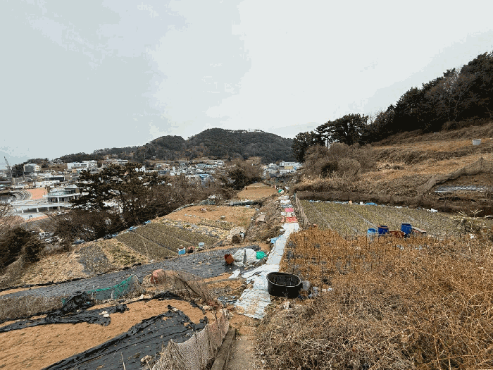 물건 사진 31