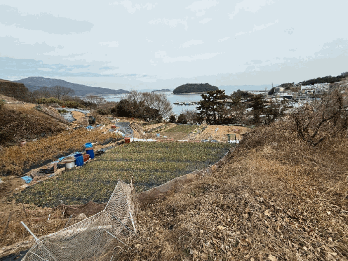 물건 사진 34