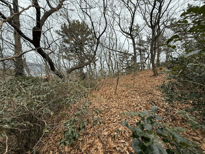 물건 사진 36