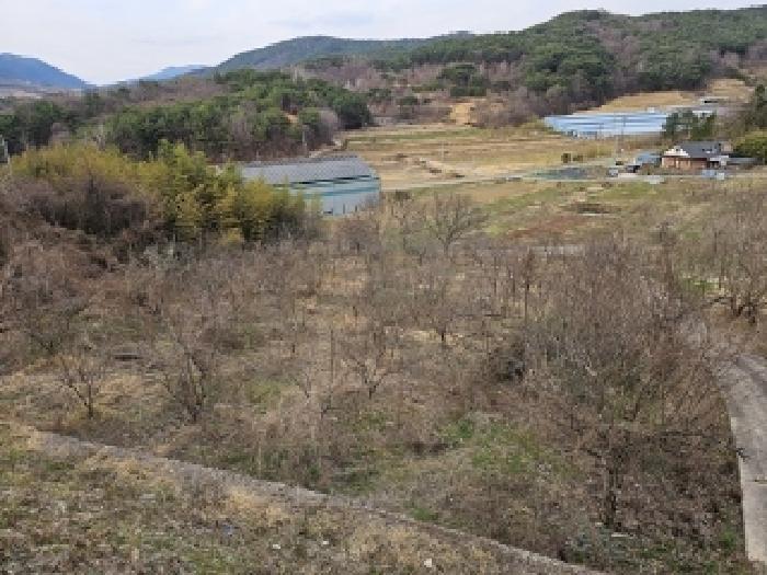 물건 사진 14