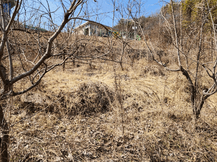 물건 사진 49