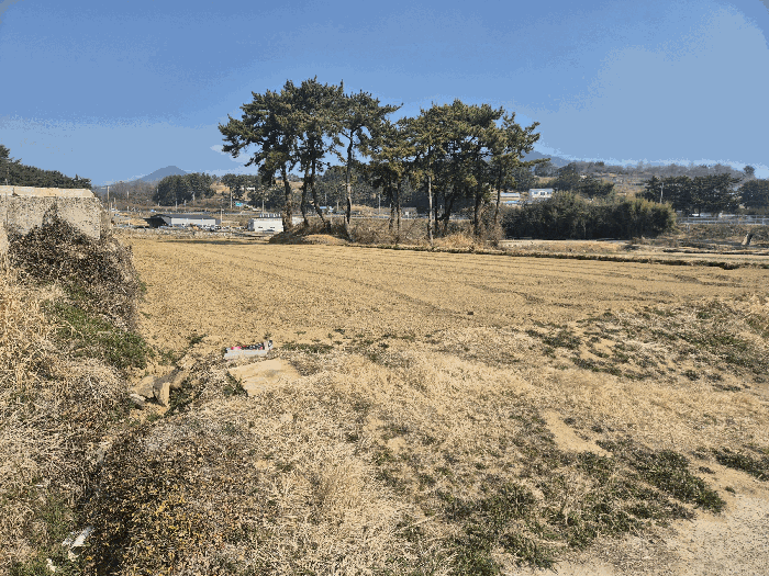 물건 사진 19