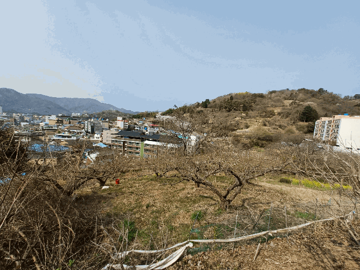 물건 사진 13