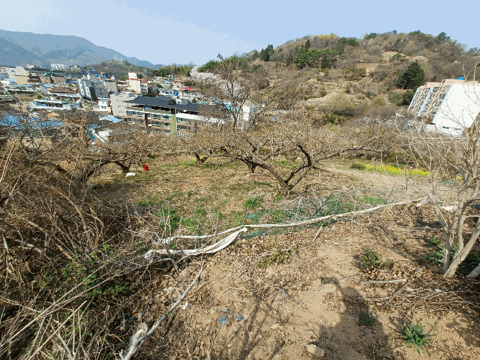 물건 사진 16