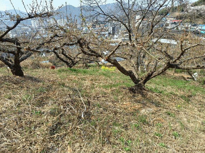 물건 사진 21