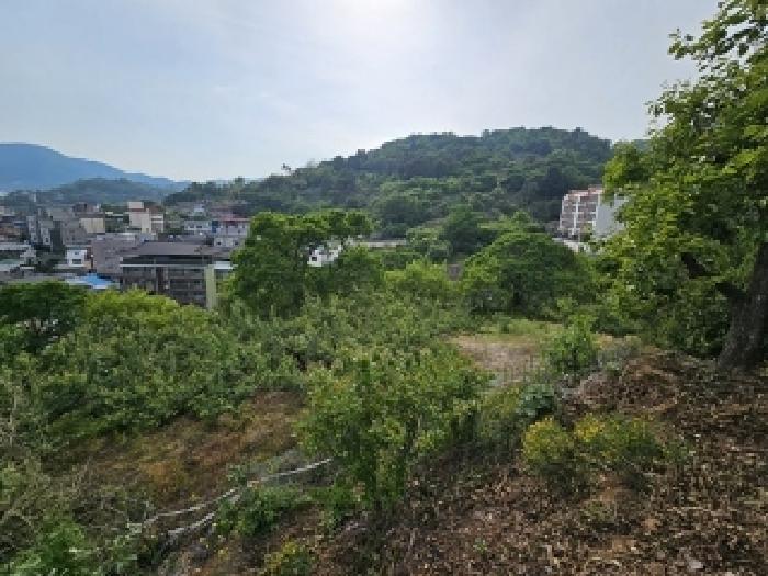 물건 사진 7