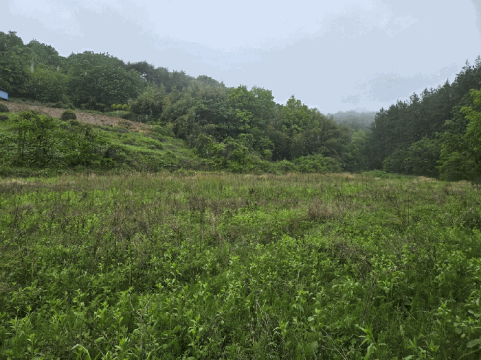 물건 사진 38