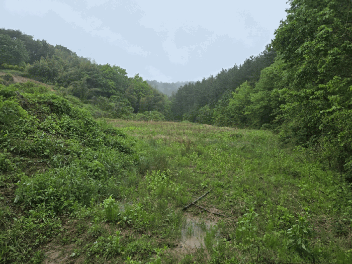 물건 사진 52