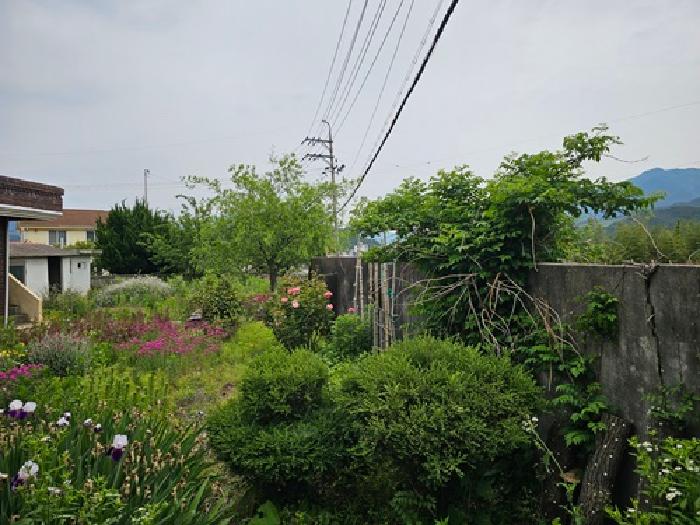 물건 사진 4