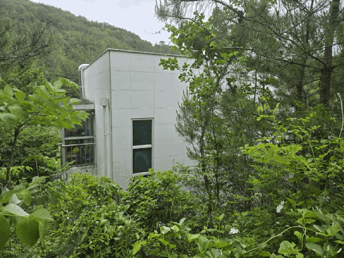 물건 사진 14