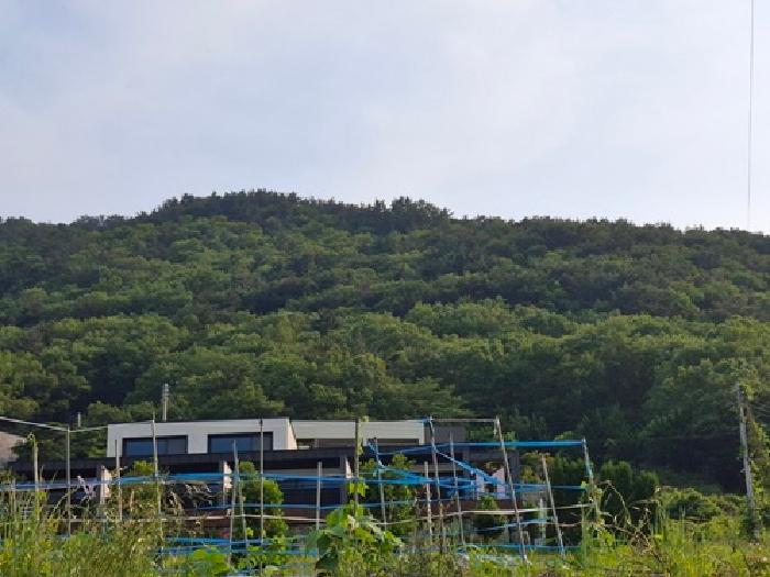 물건 사진 11