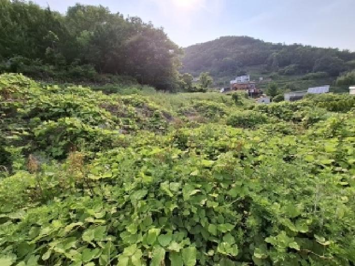 물건 사진 12