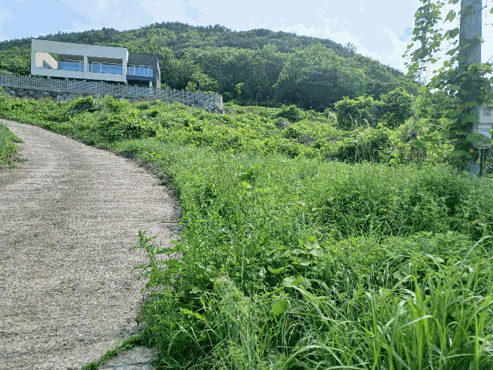 물건 사진 19