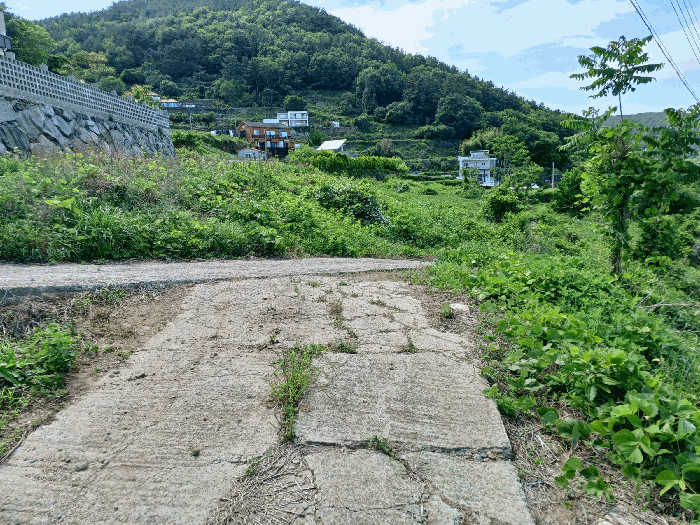 물건 사진 22