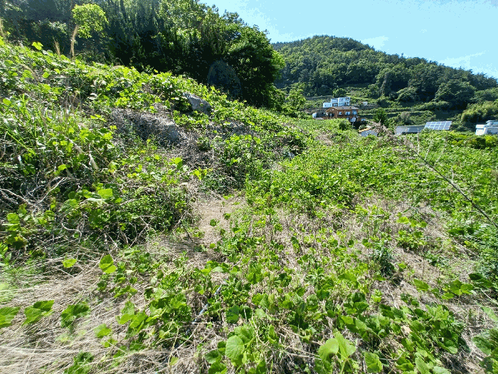 물건 사진 30