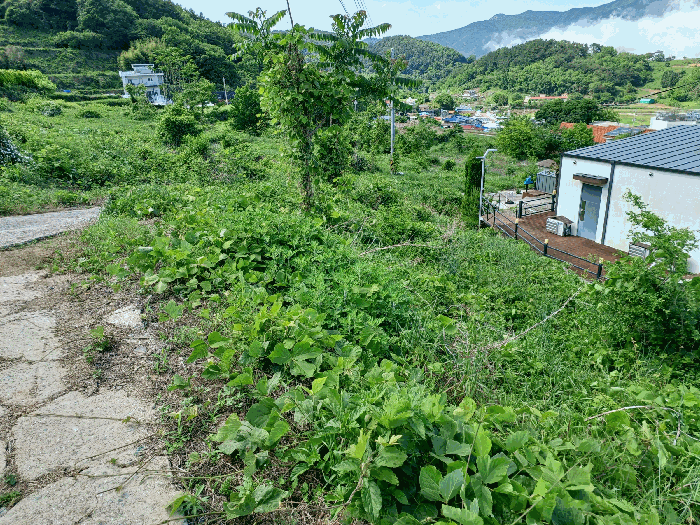 물건 사진 32