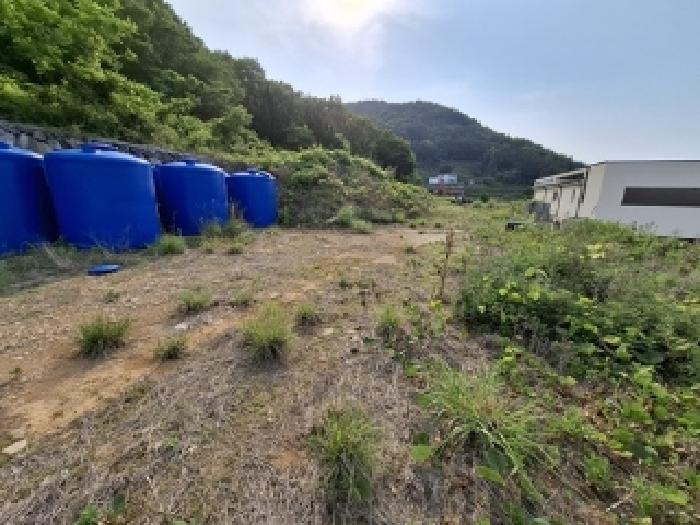 물건 사진 7