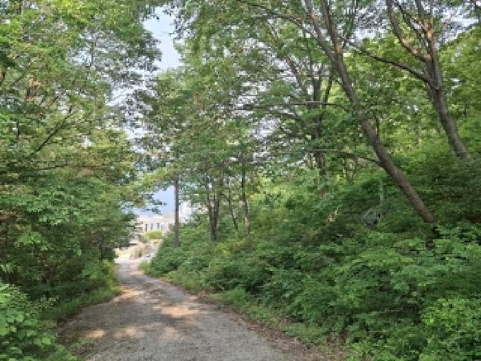 물건 사진 10