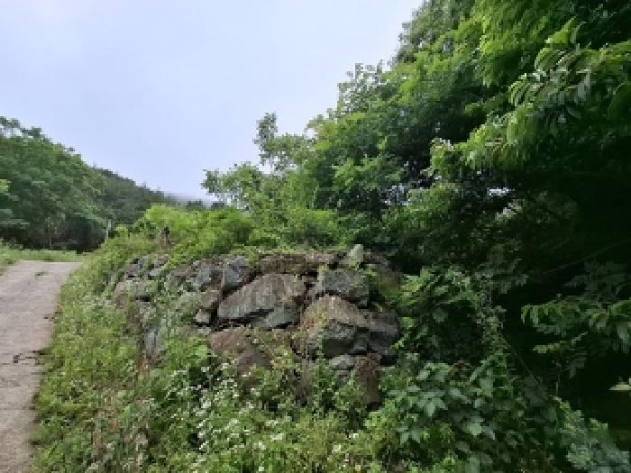 물건 사진 2