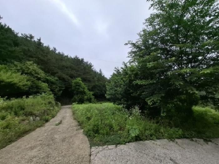 물건 사진 15