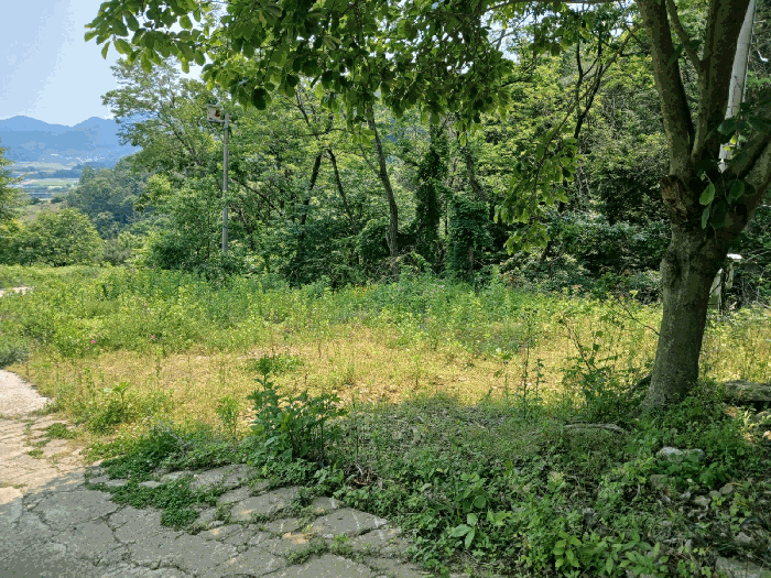 물건 사진 20